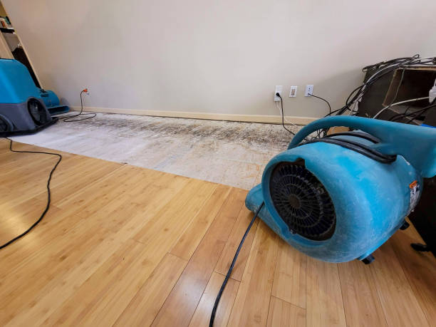 Professional Water Damage Repair technician working in Roosevelt, WA